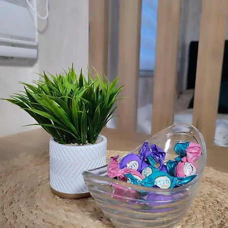 公寓 Free Parking Rubikon 贝尔格莱德